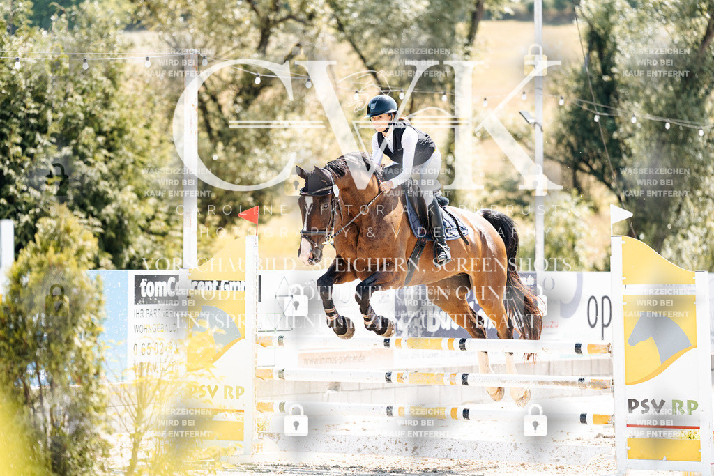 CK909177 | Turnierfotografie Pferdefotografie Trier Rheinland-Pfalz Pferdesport Reitsport Tierfotografie Sportfotografie Pferdevideo Pferdevideografie Equestrianvideography equestrianphotography  - Realisiert mit Pictrs.com