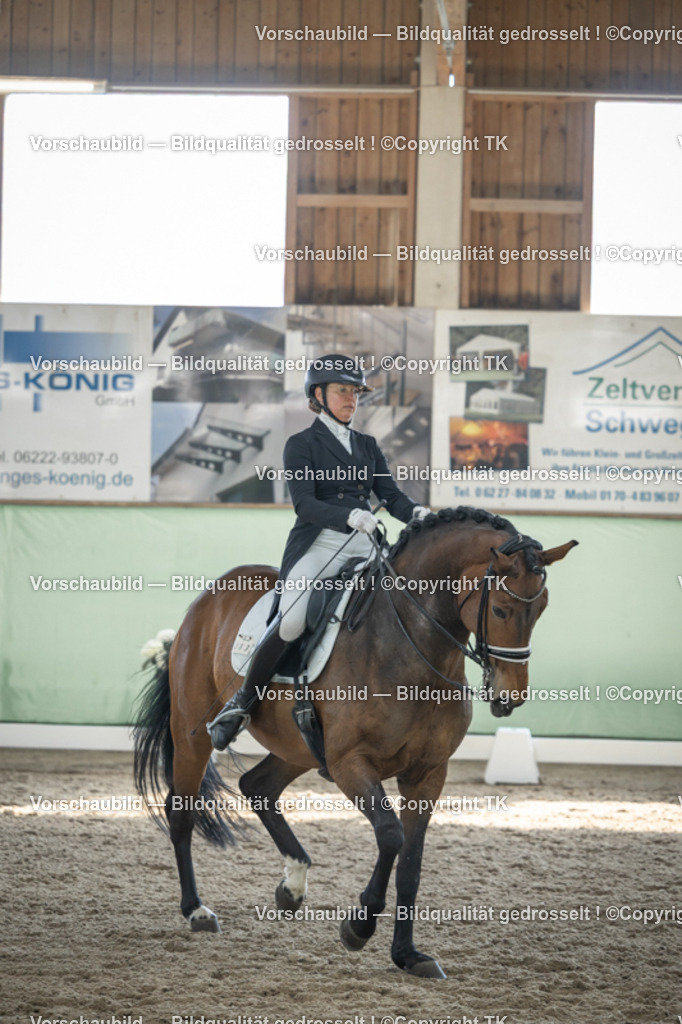 _D5A9936 | Emotionale Pferde- & People-Fotografie rund um Heidelberg, Leimen & Umgebung. Natürliche Fotos von Pferd, Mensch & Familie. Jetzt Termin sichern!