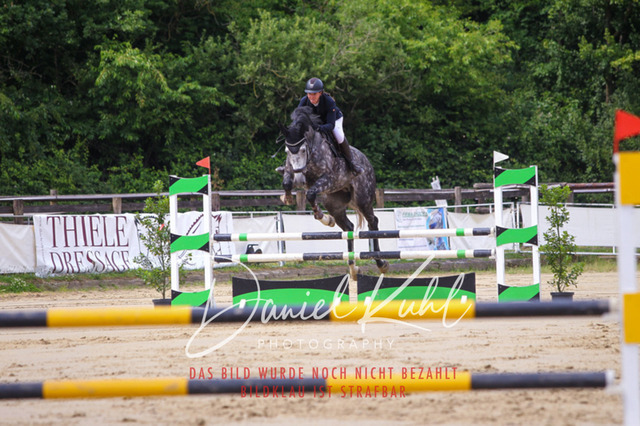 DKP41881 | Turniersportfotografie; Pferdefotografie; Dressurfotografie