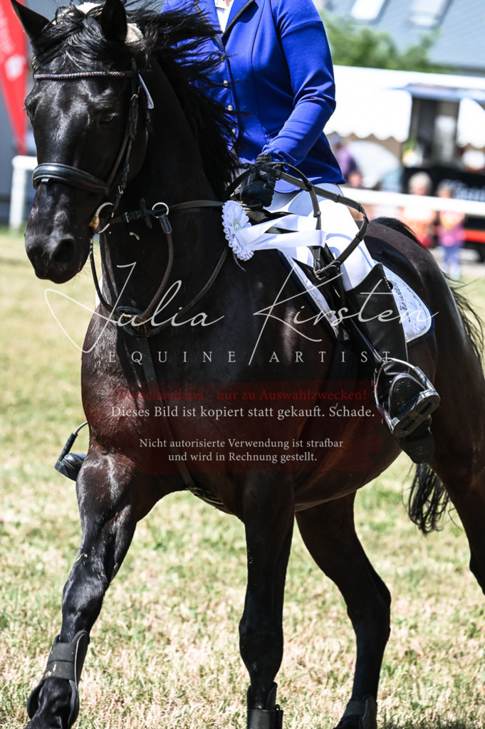 DSC_9508 | Pferde- und Turnierfotografie in Westsachsen. Pferdeportraits, Auftragszeichnungen und intuitive Kunst.