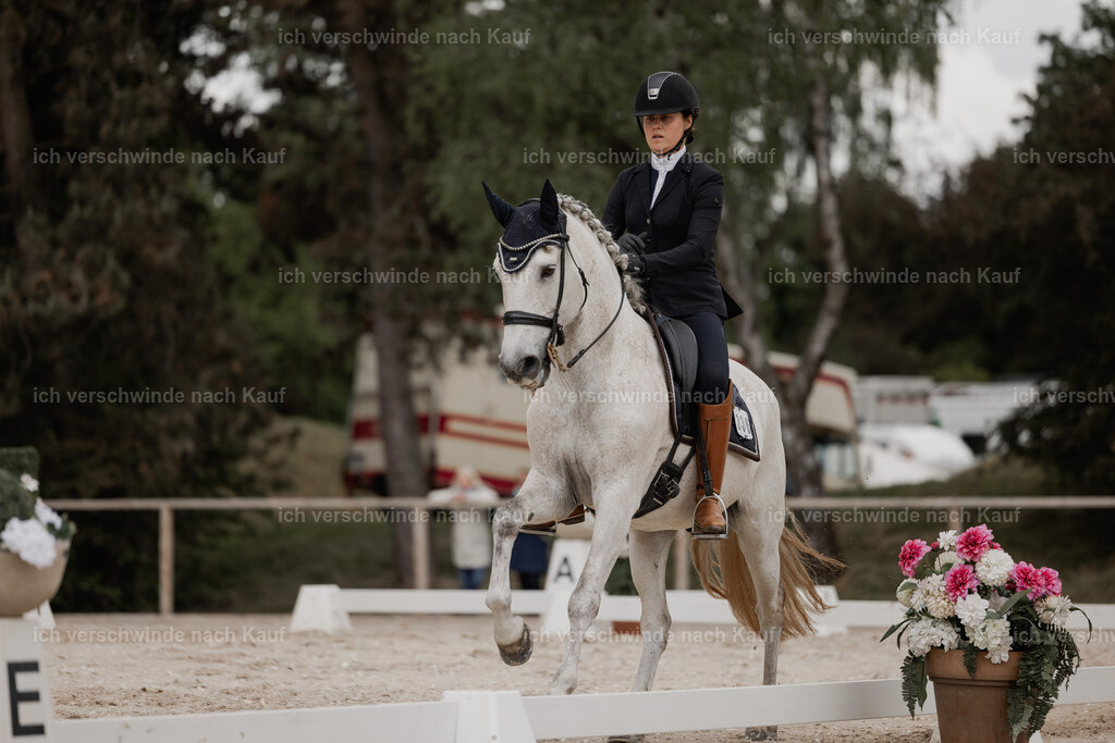 WE_DR_Stoib_336_PI2025_811 | Pferd International München 2025