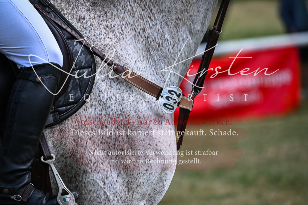 DSC_8330 | Pferde- und Turnierfotografie in Westsachsen. Pferdeportraits, Auftragszeichnungen und intuitive Kunst.