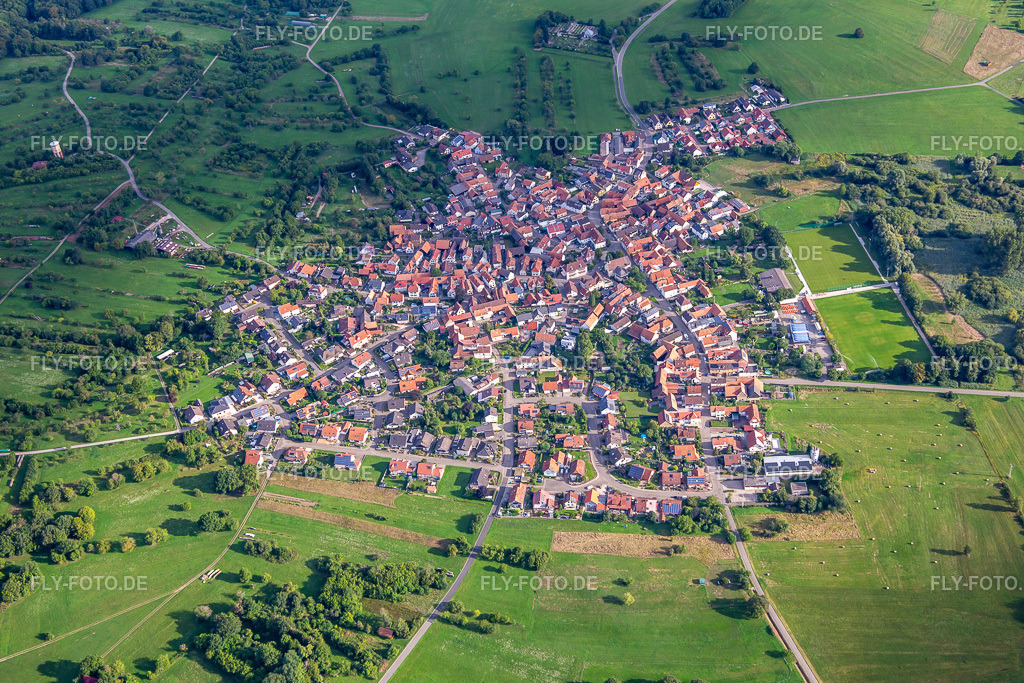 Ortsansicht von Süden | Luftbild: Ortsansicht von Süden im Ortsteil Büchelberg in Wörth im Bundesland Rheinland-Pfalz in Deutschland. Foto: IMG_137756.jpg vom 12.08.2023 durch ©2025 Werner Riehm fly-foto.de/copyright - Realisiert mit Pictrs.com