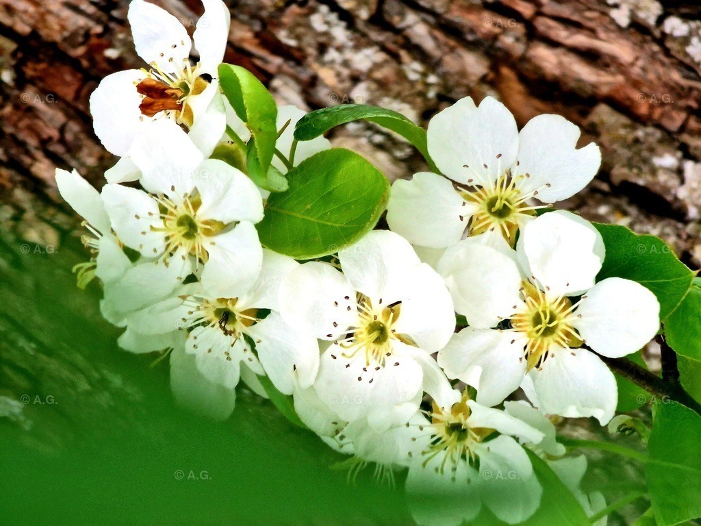 20220414_184715 | aileen-glaeser - Realisiert mit Pictrs.com