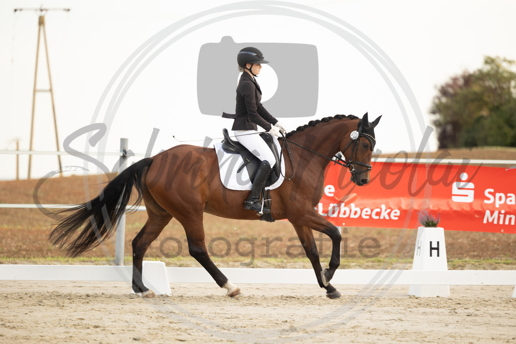 994A9986 | sabrinanicolaifotografie - Realisiert mit Pictrs.com