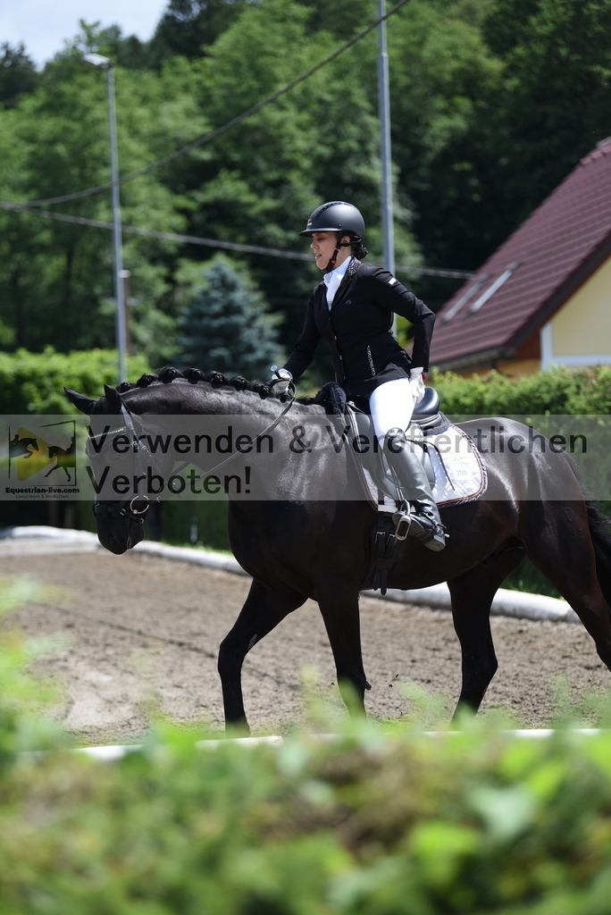 DSC_1176 | equestrian-live-com