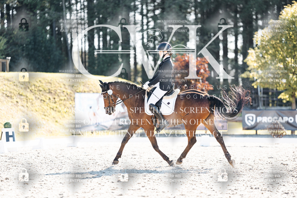 CK906218 | Turnierfotografie Pferdefotografie Trier Rheinland-Pfalz Pferdesport Reitsport Tierfotografie Sportfotografie Pferdevideo Pferdevideografie Equestrianvideography equestrianphotography  - Realisiert mit Pictrs.com