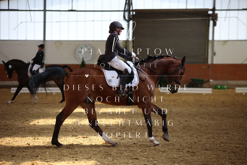 IMGT5017 | pl-fotografie