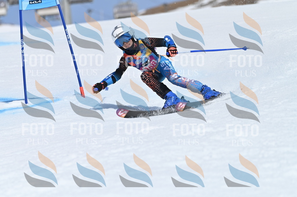 BGV_0207 | holidayphoto