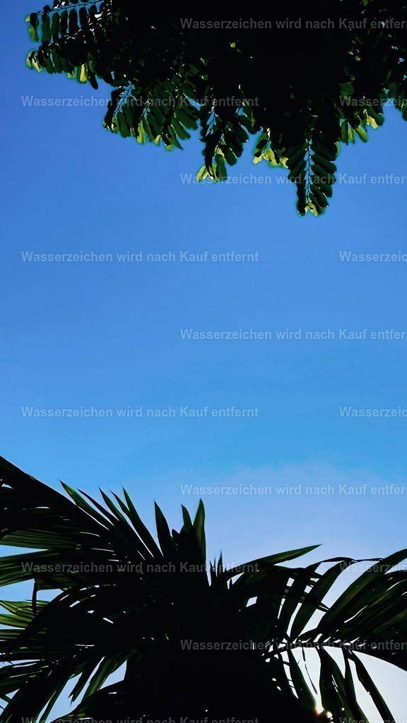 IMG_5953 | heikomoeller - Realisiert mit Pictrs.com