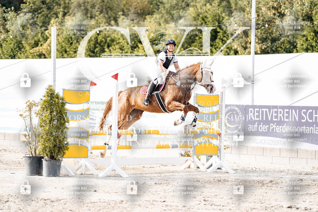 CK906676 | Turnierfotografie Pferdefotografie Trier Rheinland-Pfalz Pferdesport Reitsport Tierfotografie Sportfotografie Pferdevideo Pferdevideografie Equestrianvideography equestrianphotography  - Realisiert mit Pictrs.com