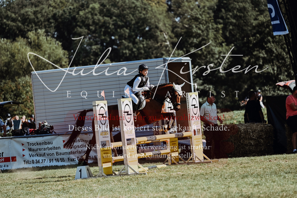 DSC_6608 | Pferde- und Turnierfotografie in Westsachsen. Pferdeportraits, Auftragszeichnungen und intuitive Kunst.