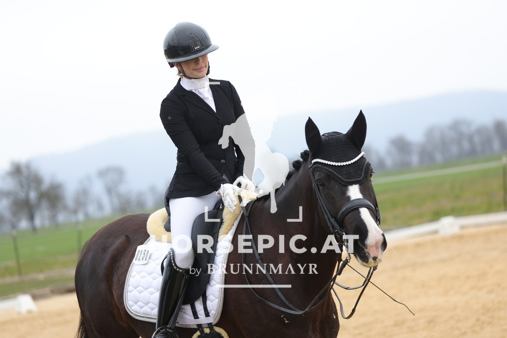 0P6A4801 | Willkommen bei Brunnmayr - Design & Fotografie – Ihrem Spezialisten für Reitturniere und Pferdeveranstaltungen in Oberösterreich, Salzburg und Bayern! Seit über 17 Jahren sind wir leidenschaftlich dabei.
