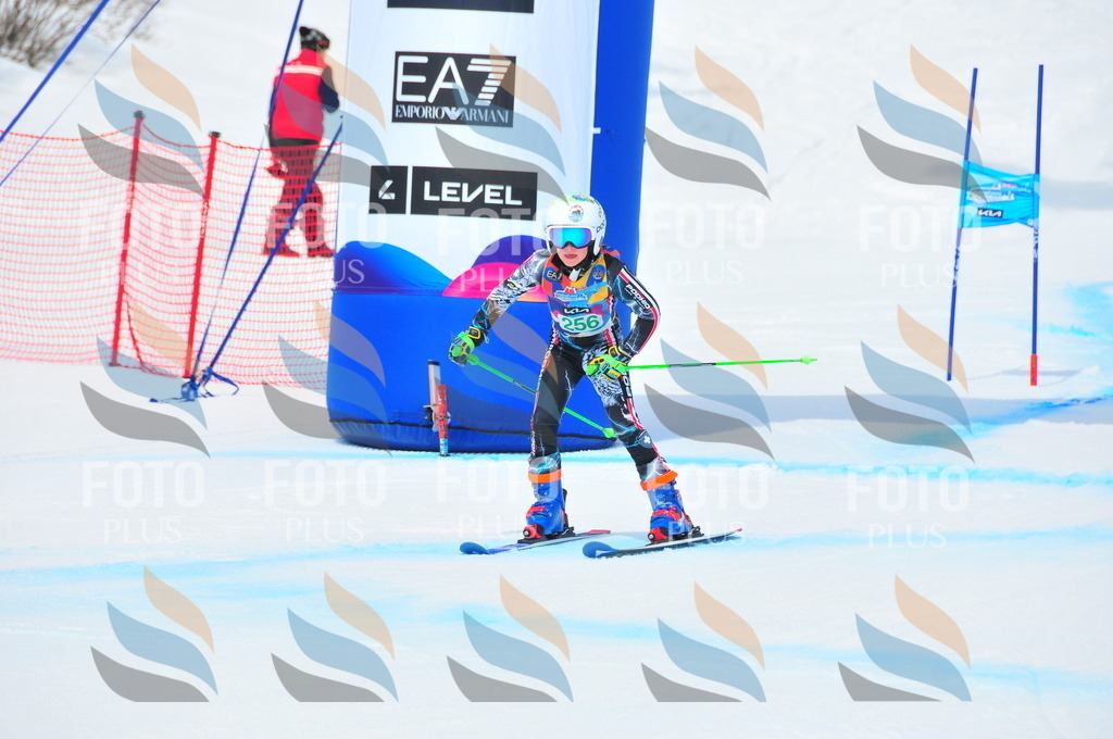 DSC_2377 | holidayphoto