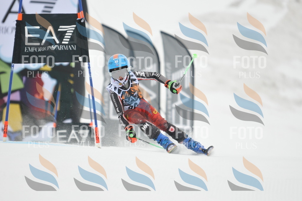 DSC_7892 | holidayphoto