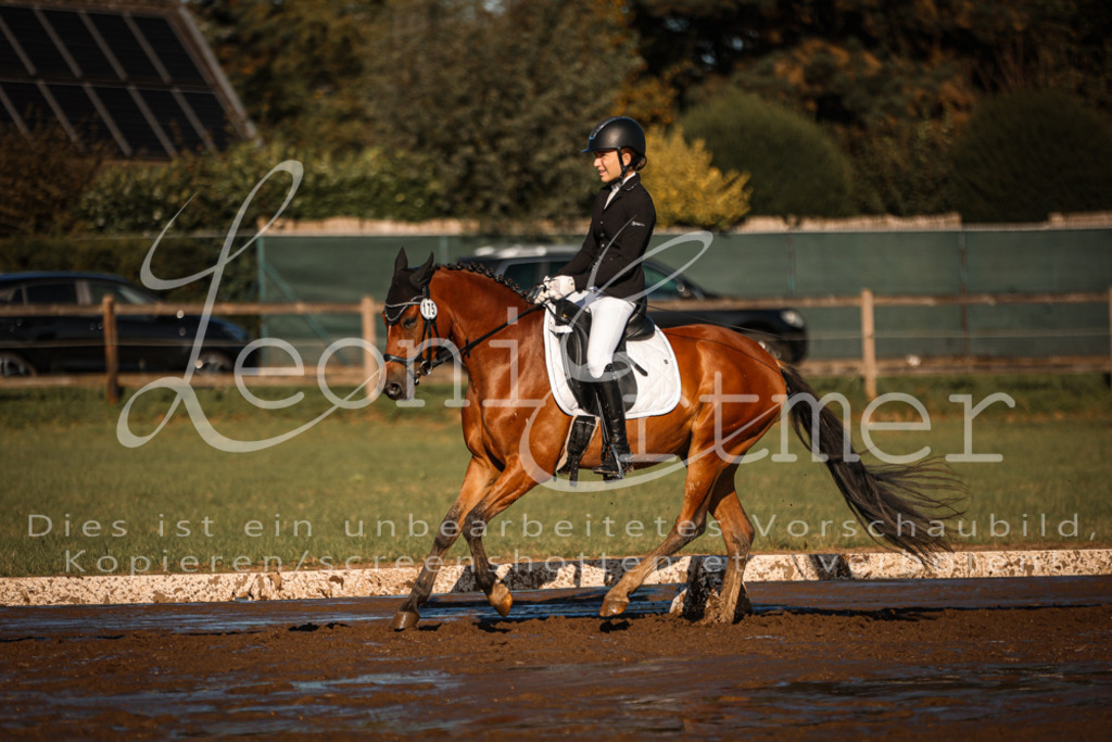 13.SoDrA100218 | Leoni Ertmer Photography - Realisiert mit Pictrs.com