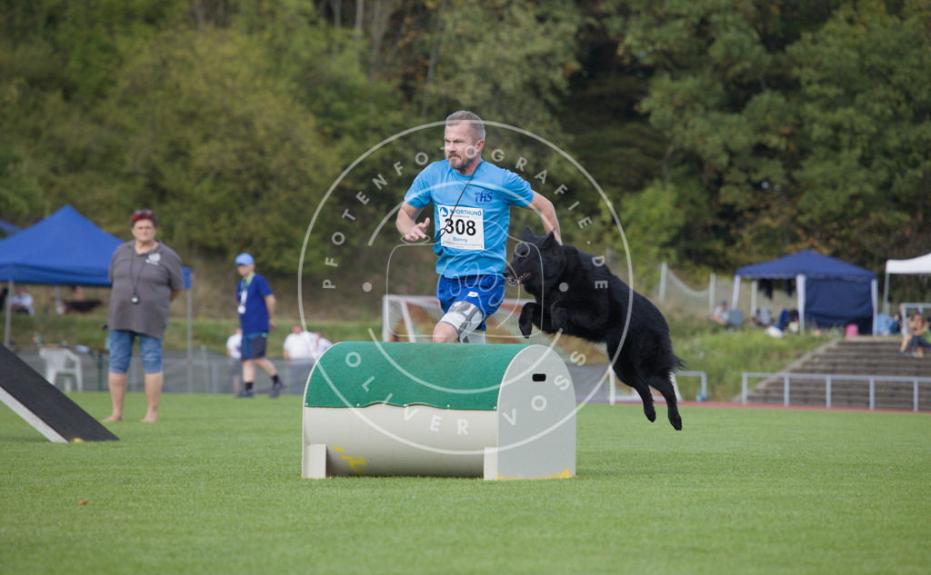 0L8A3697 | Hundefotografie, Tierfotograf, Pfotenfotografie, Fotoshooting Hund, Hunde Portrait, Hundesport, Hundeportraits, Heideshooting, Hunde, Sportfotograf, Hundefotograf, Turnierhundsport, THS,  - Realisiert mit Pictrs.com