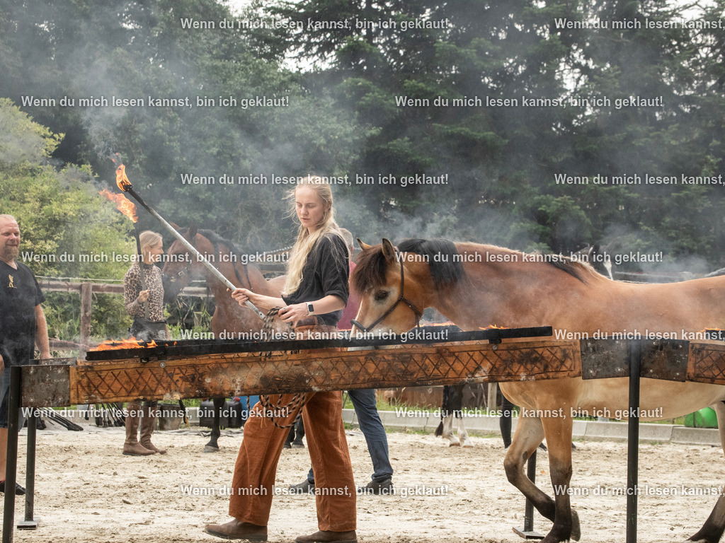 598A7096 | photographylinaismer - Realisiert mit Pictrs.com