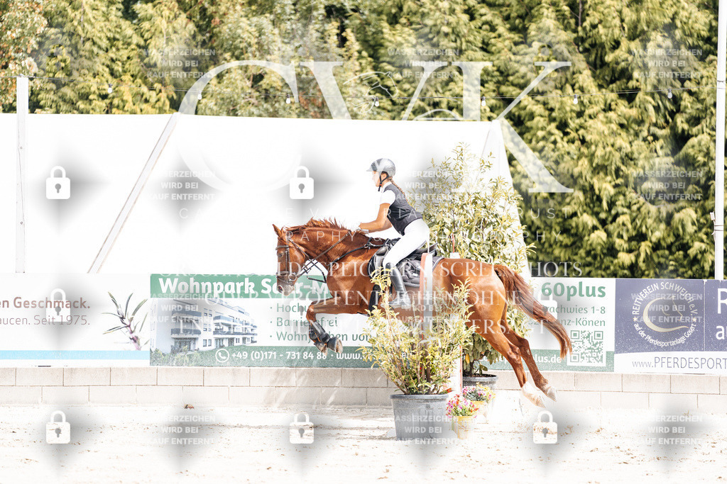 CK906386 | Turnierfotografie Pferdefotografie Trier Rheinland-Pfalz Pferdesport Reitsport Tierfotografie Sportfotografie Pferdevideo Pferdevideografie Equestrianvideography equestrianphotography  - Realisiert mit Pictrs.com