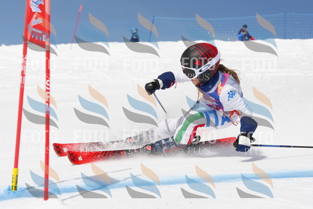 _W1G1097 | holidayphoto