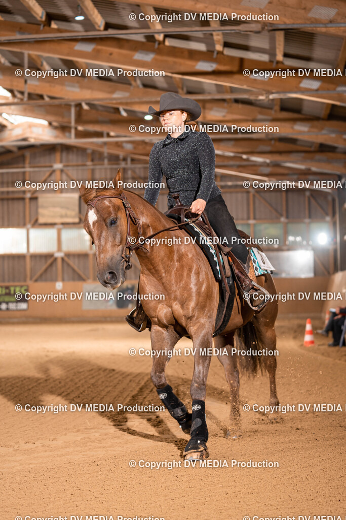 Losheim Tag 1-749 | dv-media-shop - Realisiert mit Pictrs.com