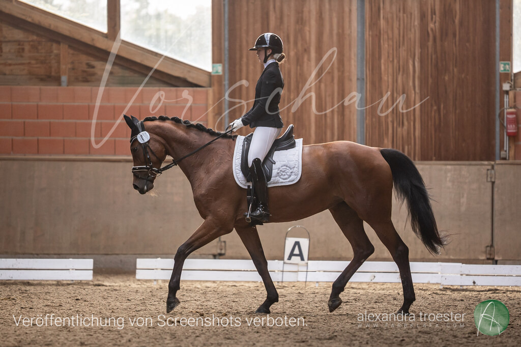 250914_Barop_36_605 | farbklaex.com