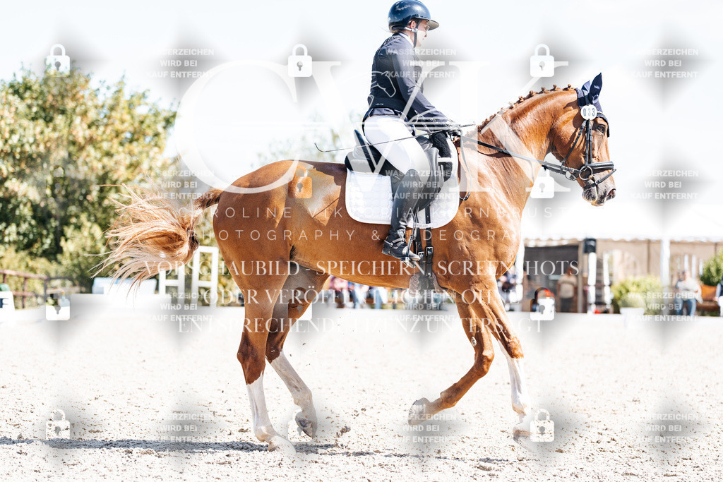 CK903199 | Turnierfotografie Pferdefotografie Trier Rheinland-Pfalz Pferdesport Reitsport Tierfotografie Sportfotografie Pferdevideo Pferdevideografie Equestrianvideography equestrianphotography  - Realisiert mit Pictrs.com