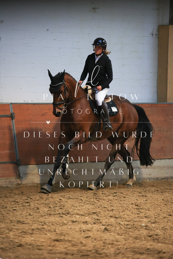 IMGT1811 | pl-fotografie