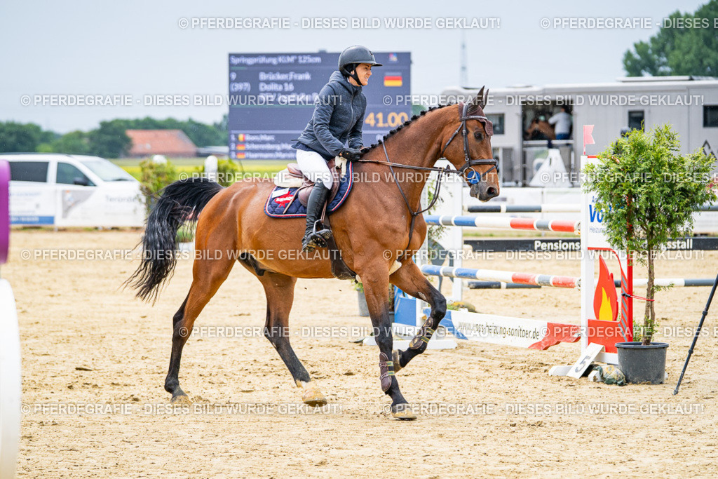 DSC06844 | Pferdegrafie