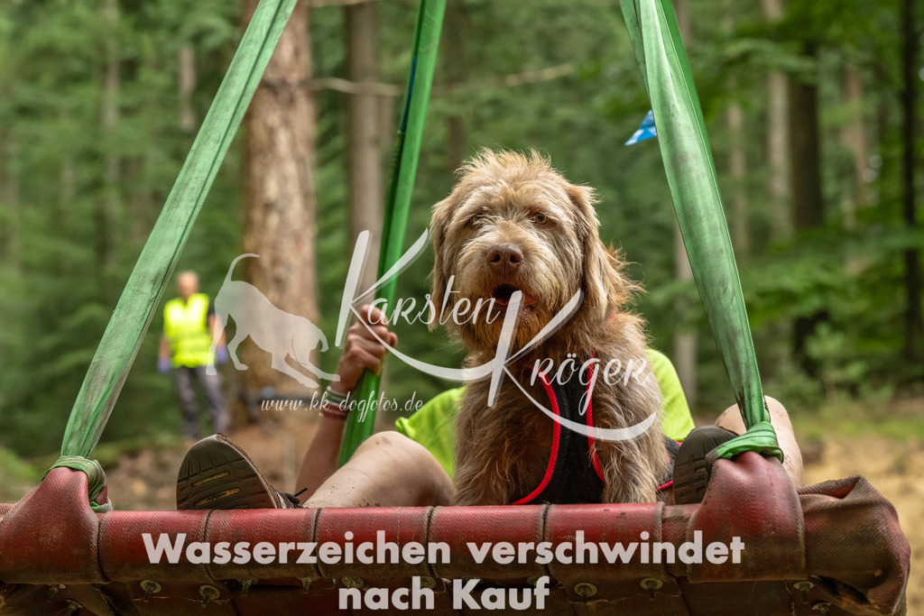 1322_ZZ92691-Bearbeitet | kk-dogfotos