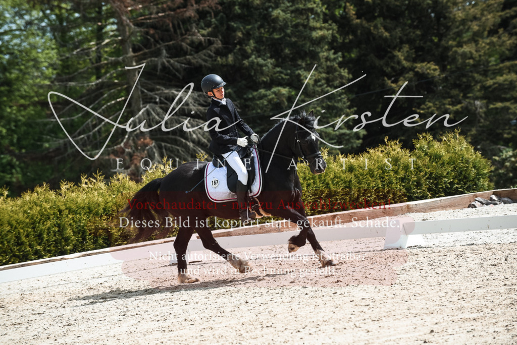 20230518_JK-Röhrsdorf-11-0774 | Pferde- und Turnierfotografie in Westsachsen. Pferdeportraits, Auftragszeichnungen und intuitive Kunst.