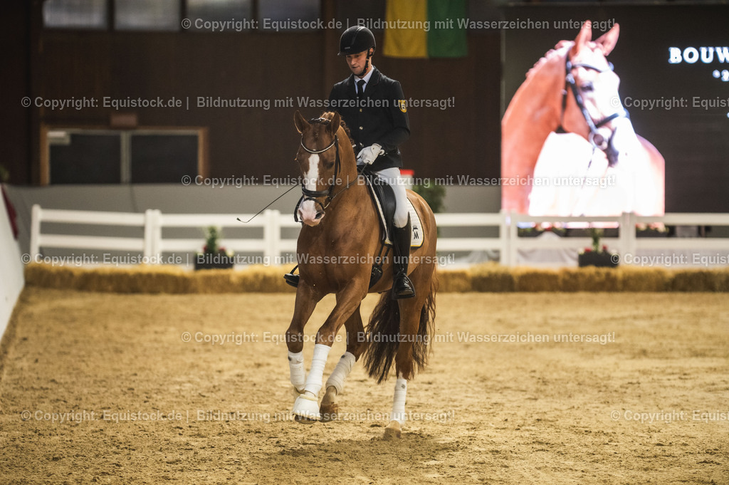 20240302_Hengstvorstellung_Marbach_TOMsPiC_0549 | equistock