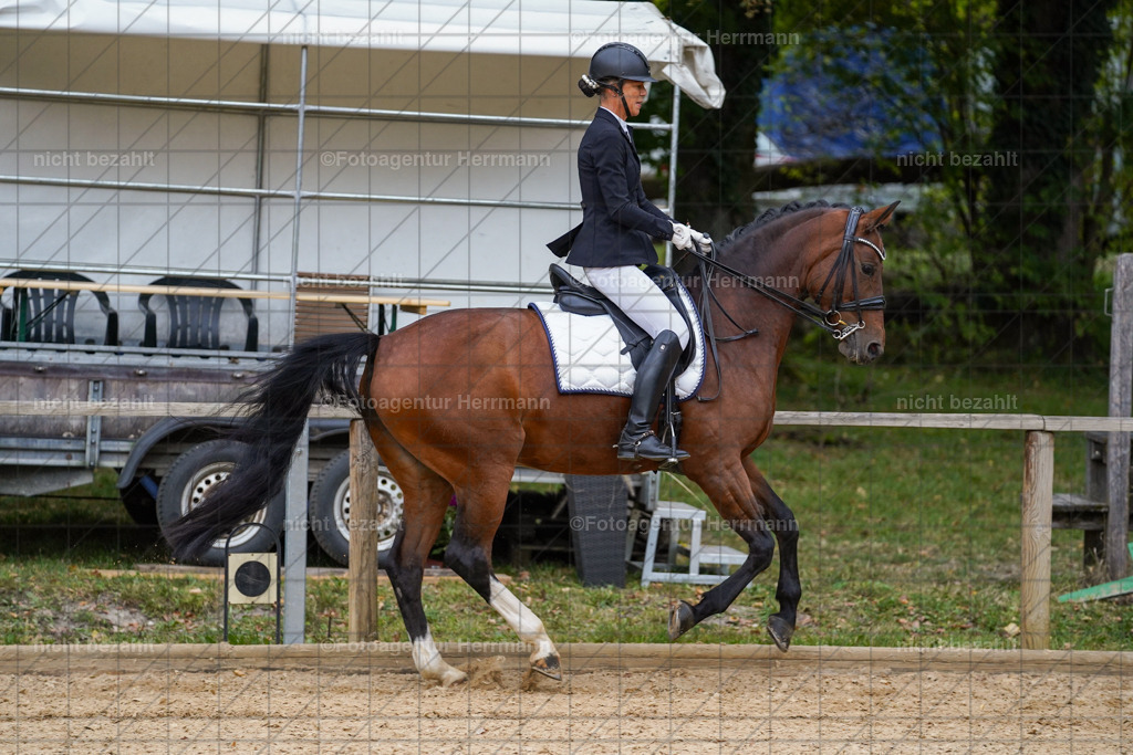 20231007-SN_00777 | Professionelle Turnier- und Reitsportfotografie - mit dem Finger am Auslöser. Pferdebilder aus dem Reitsport von den Turnierfotografen  Bayern , Pferdefotograf Bayern, Pferdeshooting Turnierbilder, Hochzeitsfotograf, Eventfotograf, Hochzeitsbilder
