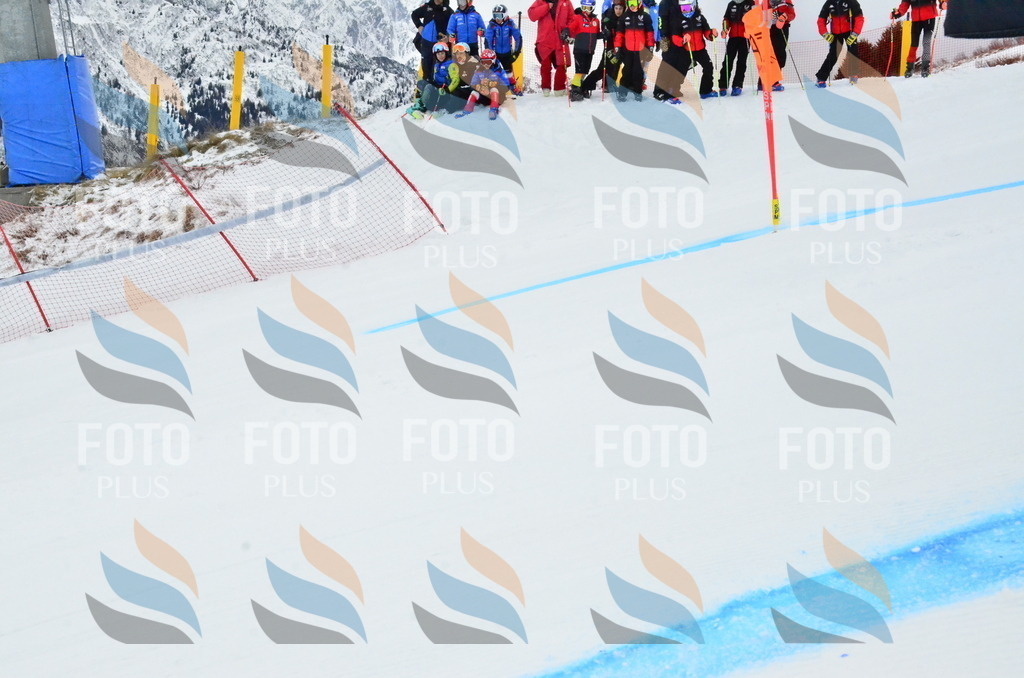 _ELE3225 | holidayphoto