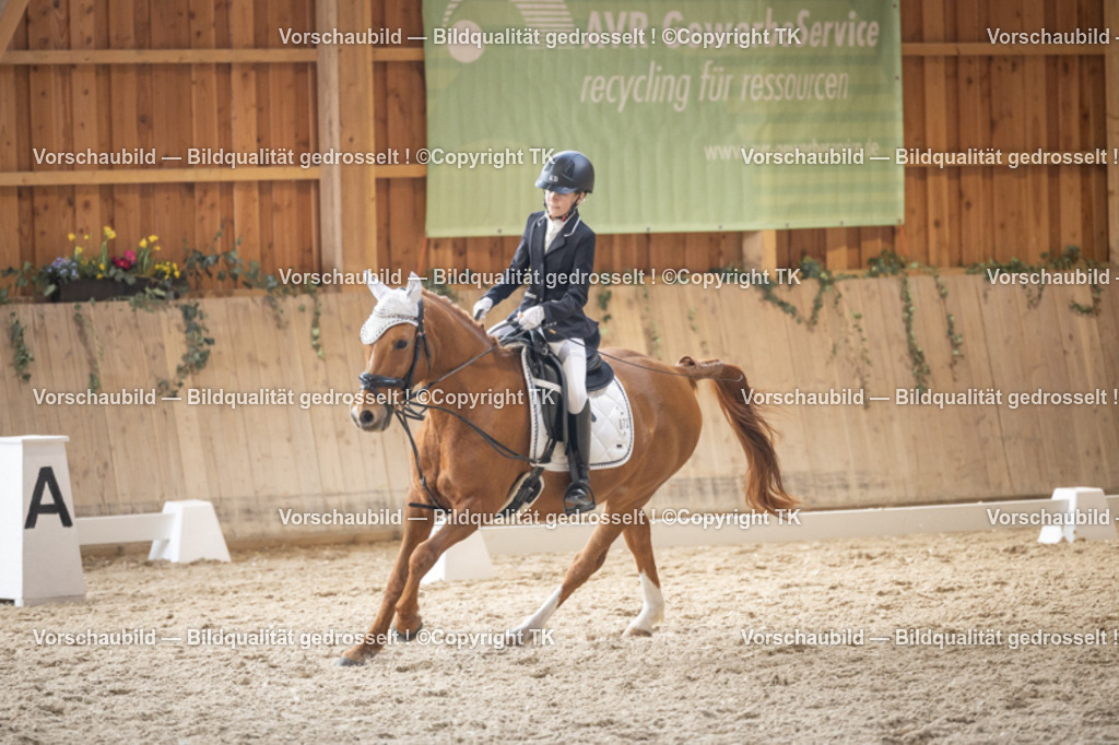 _D5A5672 | Emotionale Pferde- & People-Fotografie rund um Heidelberg, Leimen & Umgebung. Natürliche Fotos von Pferd, Mensch & Familie. Jetzt Termin sichern!