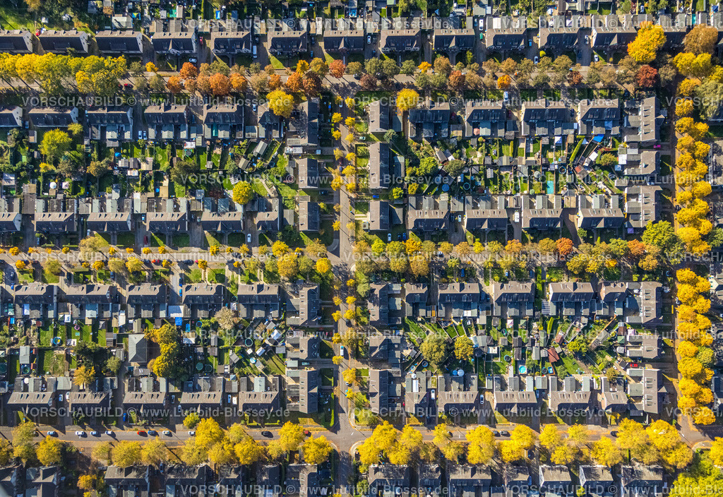 Moers221004171 | Luftbild, Arbeitersiedlung Meerbeck-Hochstraß, zwischen Ruhrstraße und Fuldastraße, Baumallee und Bäume in Herbstfarben, Formen und Farben, Moers-Hochstraß, Moers, Ruhrgebiet, Nordrhein-Westfalen, Deutschland