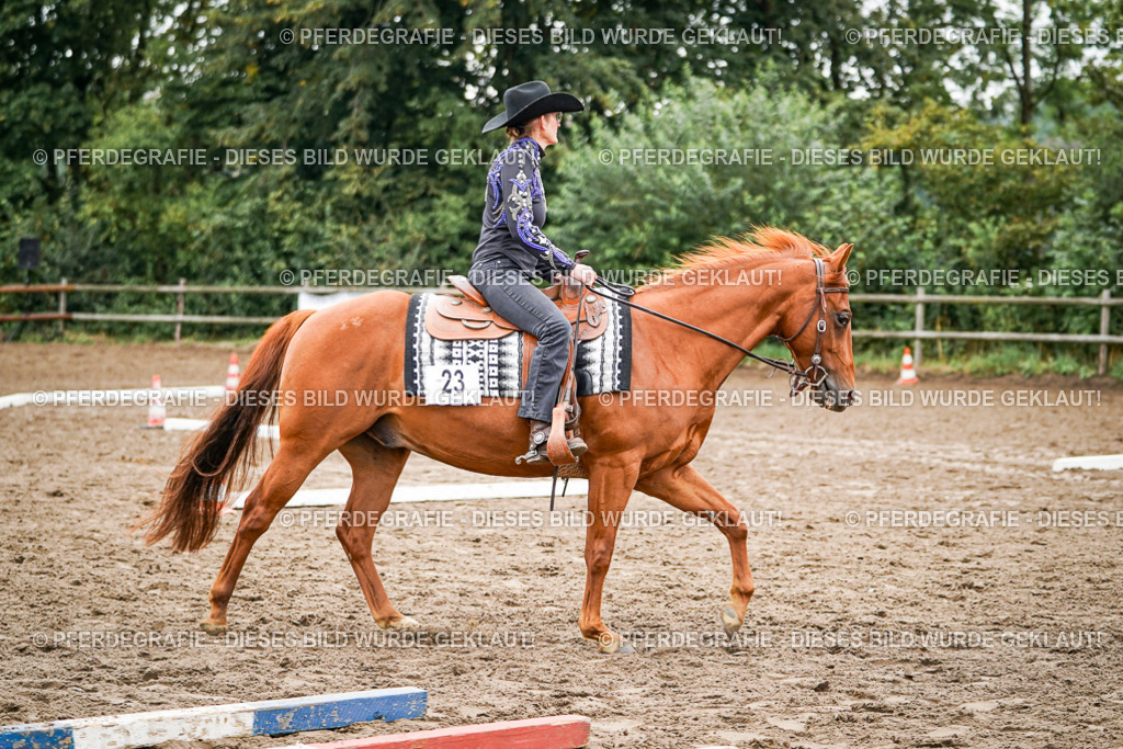 DSC03691 | Pferdegrafie