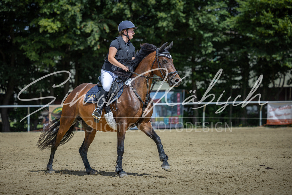 20260704-_3LI9852 | Tierfotografie Pferde, Hunde, Katzen, Haustiere.
Turnierfotografie Reitturniere, Reiten, Springreiten, Dressur in Hanau, dem Main-Kinzig-Kreis und dem Rhein-Main- Gebiet um Frankfurt
