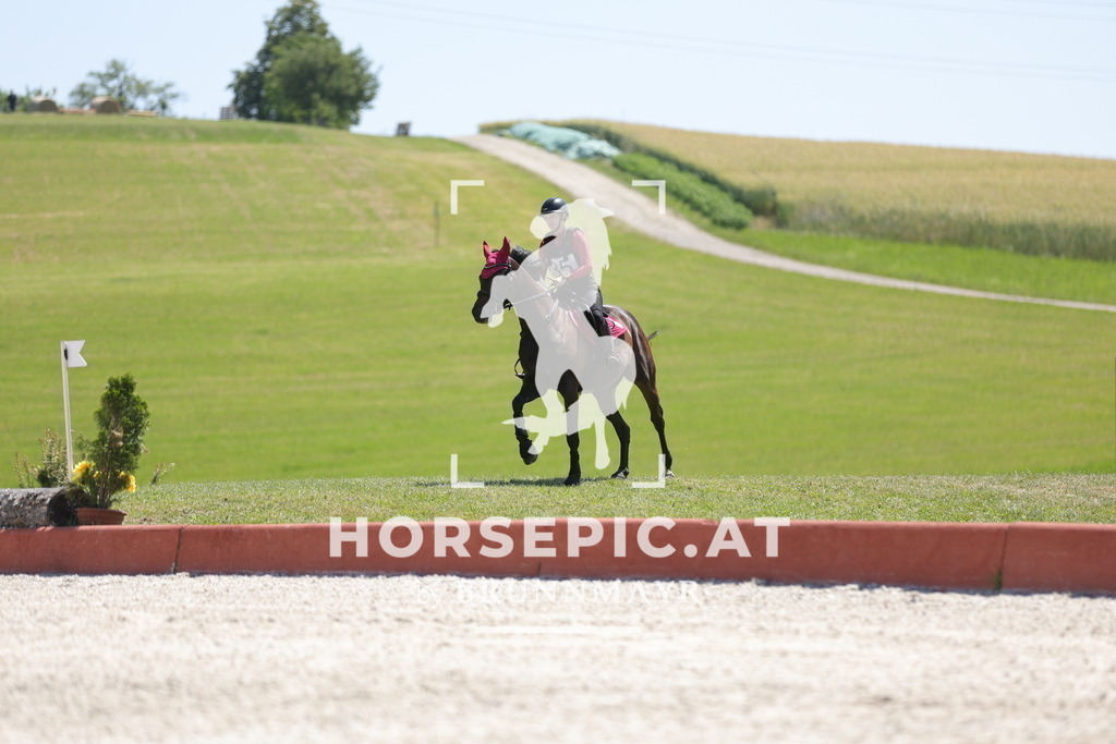 0P6A3862 | Willkommen bei Brunnmayr - Design & Fotografie – Ihrem Spezialisten für Reitturniere und Pferdeveranstaltungen in Oberösterreich, Salzburg und Bayern! Seit über 17 Jahren sind wir leidenschaftlich dabei.