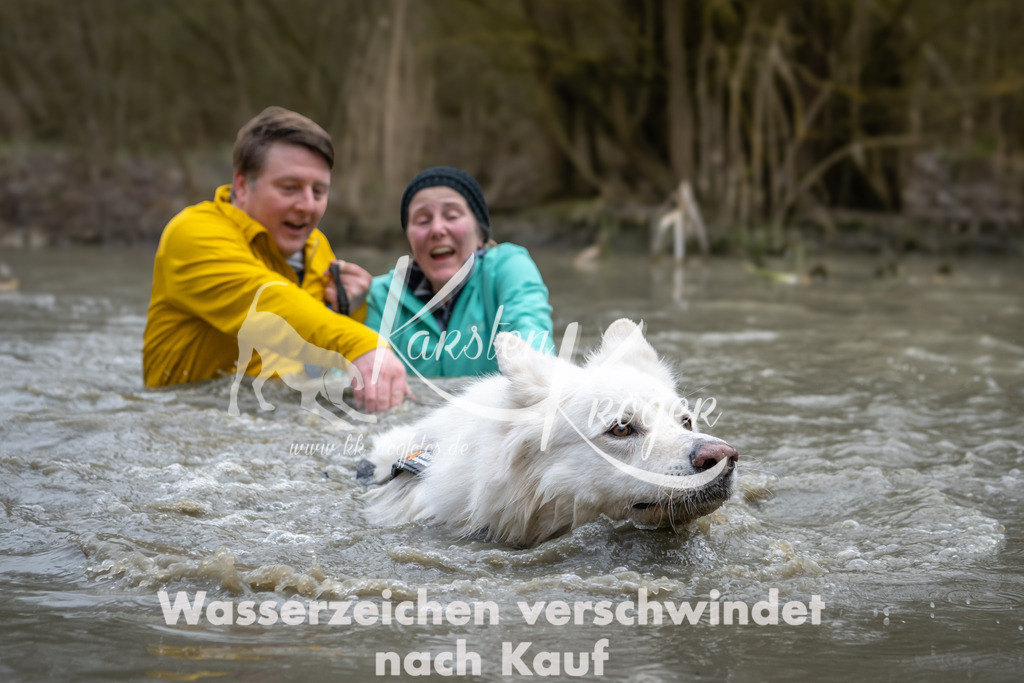 1418_ZZ98256 | kk-dogfotos