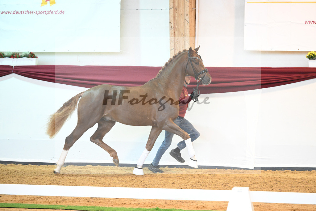 Kat-Nr. 74 v. Le Formidable_Maier_66220317 | hf-fotografie - Realisiert mit Pictrs.com