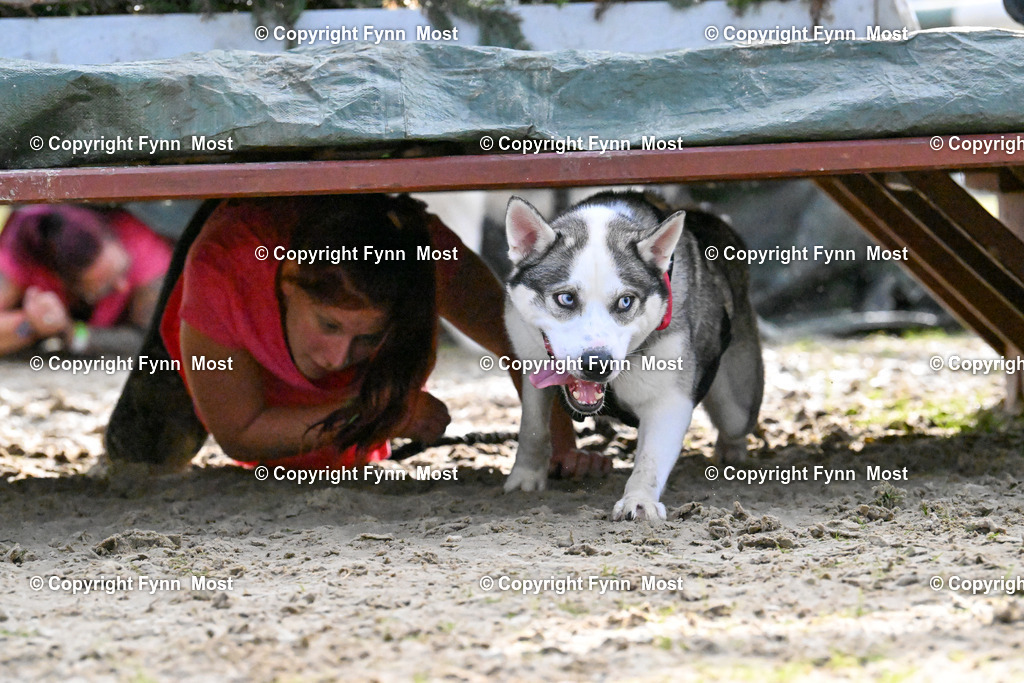 DSC_5495 | Hallo und herzlich Willkommen auf meiner Shop-Seite Fynn Most.

Ich wünsche Dir viel Spaß beim stöbern durch die Bilder, wenn Du Fragen hast oder Bilder vermisst, kannst du mir gerne eine Nachricht schreiben. - Realisiert mit Pictrs.com