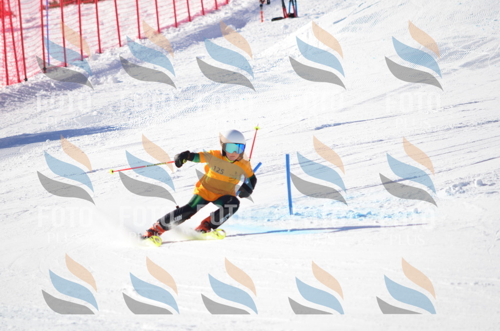 C6384 | holidayphoto