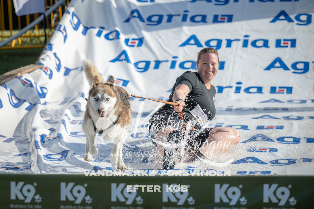 0936_ZZ96487 | kk-dogfotos