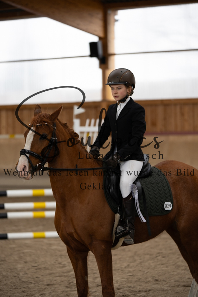 A7V00145 | Pferdefotograf