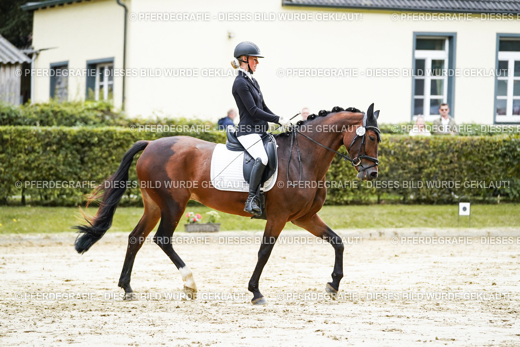 DSC06266 | Pferdegrafie