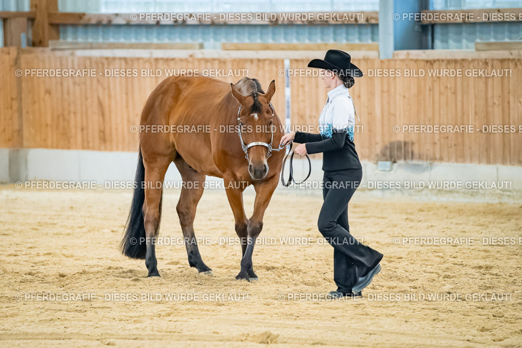 DSC09815 | Pferdegrafie