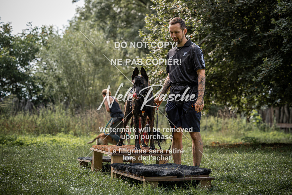 nelerasche_SoLauf_232 | nelerasche