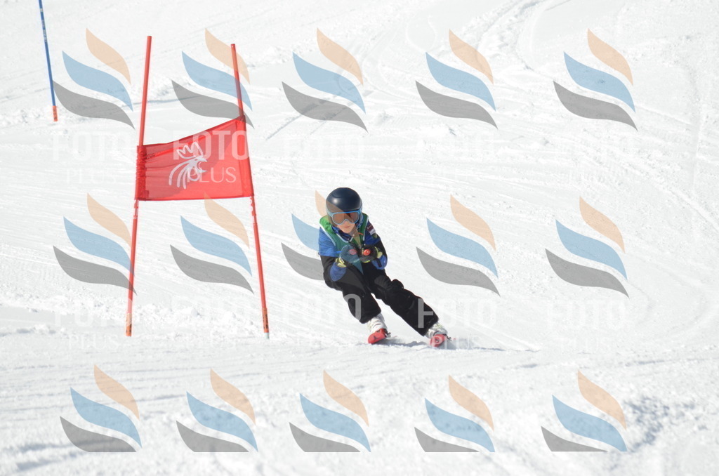 D8763 | holidayphoto