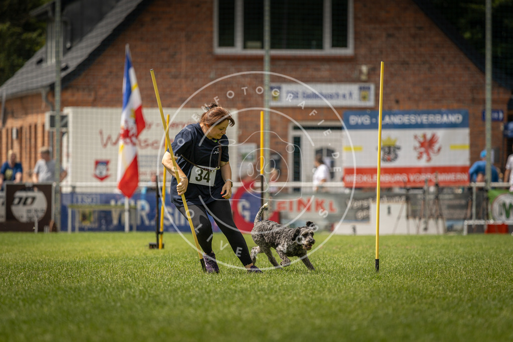 Pfotenfotografie_DV3A2466 | Hundefotografie, Tierfotograf, Pfotenfotografie, Fotoshooting Hund, Hunde Portrait, Hundesport, Hundeportraits, Heideshooting, Hunde, Sportfotograf, Hundefotograf, Turnierhundsport, THS,  - Realisiert mit Pictrs.com